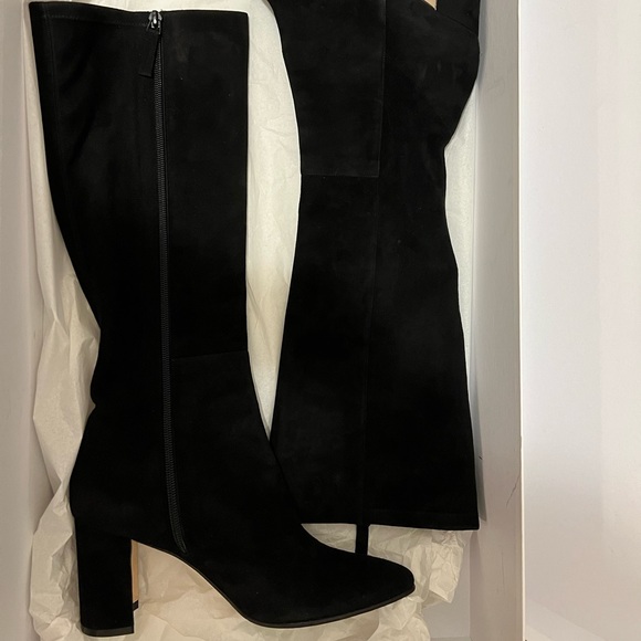 BNIB Manolo Blahnik Tall Knee Pita Suede Leather Boots - Picture 2 of 16